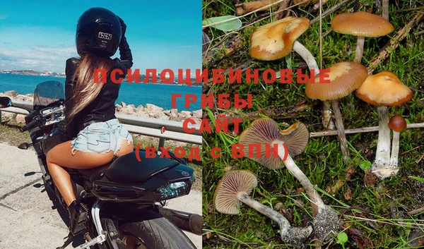 дживик Арсеньев