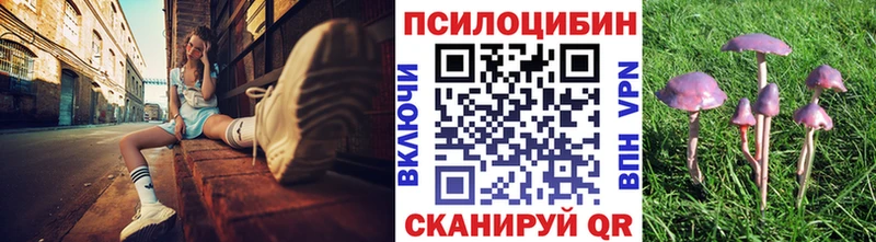 Галлюциногенные грибы прущие грибы  Купить закладки  Балаково 